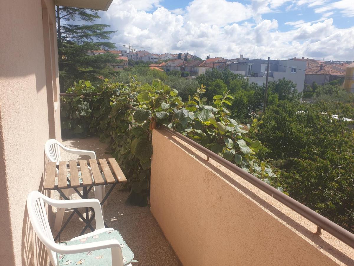 Apartment Ivanov 扎达尔 外观 照片